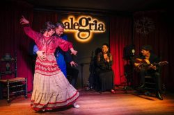 503200139_745957497762071_6900318869919282738_n